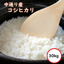 令和5年産 送料無料 無洗米 【特売価格11,980円】 福島中通り産コシヒカリ 30kg 精米 乾式無洗米 選べる精米方法