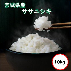 新米　送料無料　無洗米　【超特売価格4,800円】　宮城県産　ササニシキ　10kg　(5Kgx2)　令和5年産　乾式無洗米　精米　選べる精米方法のサムネイル