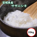 令和5年産 送料無料 無洗米  宮城県産 ササニシキ 20kg 精米 乾式無洗米 選べる精米方法