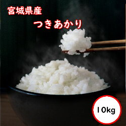 令和5年産 送料無料 無洗米 【セール価格5,280円】 宮城県産 つきあかり 10kg(5Kgx2)　乾式無洗米 精米 選べる精米方法のサムネイル