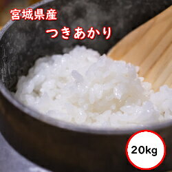 無洗米20キロ|値段が安くてスーパーなどで買える美味しい無洗米 無洗米20キロ|値段が安くてスーパーなどで買える美味しい無洗米