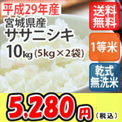 【乾式無洗米】【送料無料】平成29年産　乾式無洗米　宮城産ササニシキ 10kg (5Kgx2)