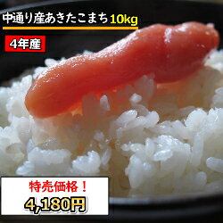送料無料　無洗米　【特売価格4,180円】　福島中通り産あきたこまち　10kg (5Kgx2)　令和4年産　精米　乾式無洗米　選べる精米方法のサムネイル