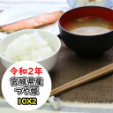 超特売価格にてご提供！ 宮城産　つや姫　20kg　令和2年産　玄米　選べる精米方法