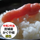 令和2年産　宮城県東松島産かぐや姫　5Kg　無洗米　精米　選べる精米方法　数量限定のプレミアム米