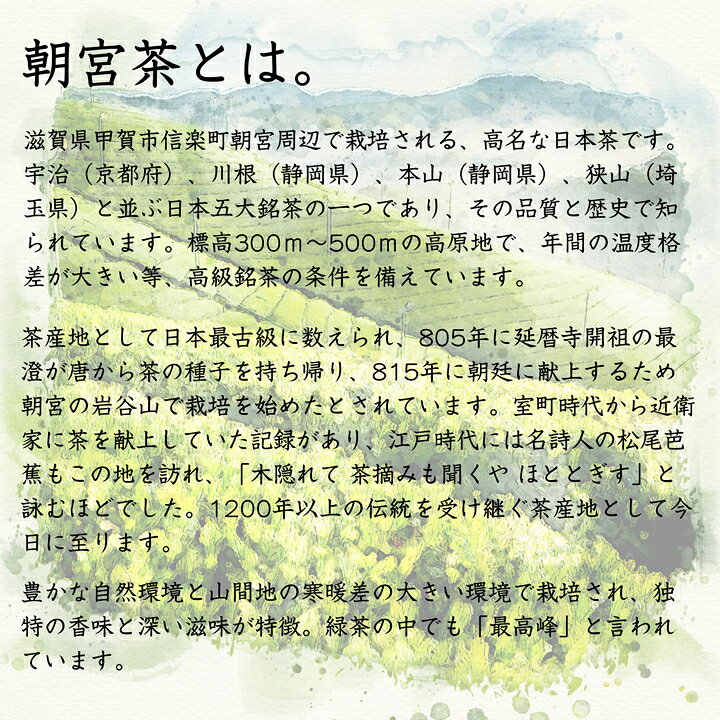 煎茶 朝宮の里 100g / 国産 日本茶 近江 朝宮茶 お茶 緑茶 茶葉 リーフ 農薬不使用 普段飲むお茶 メール便