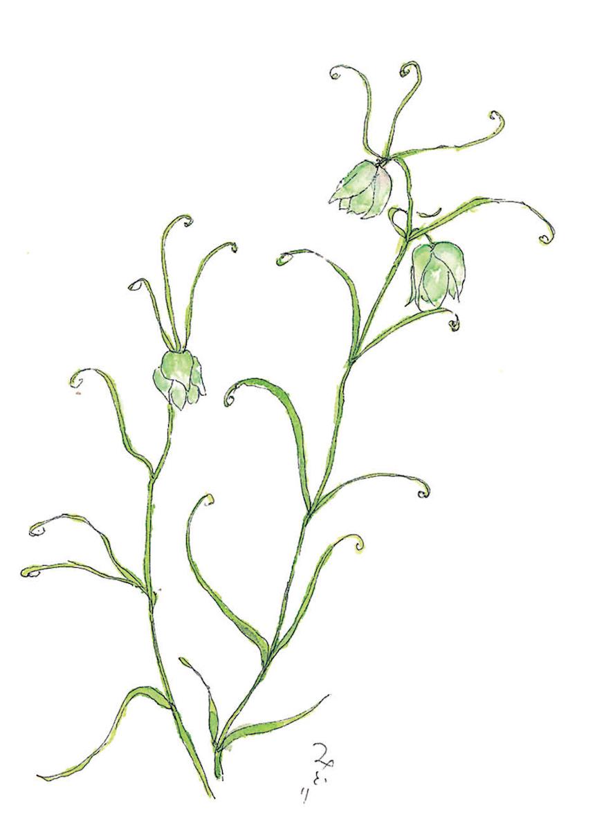 ������βֳ��Ϥ���No.2