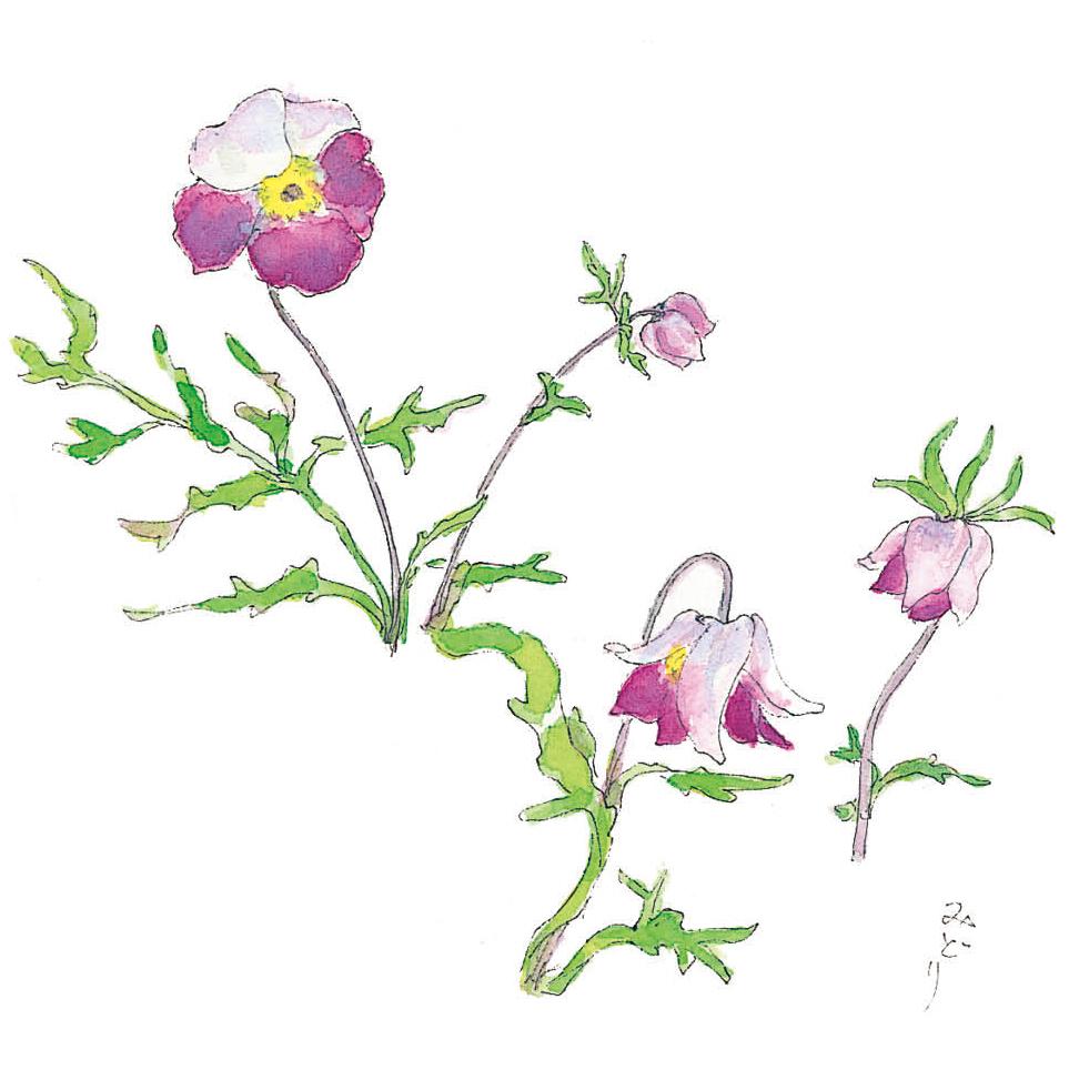 ������βֳ��Ϥ���No.3