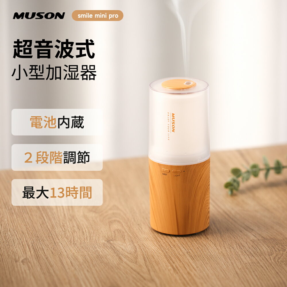 2WAY給電加湿器・充電式・USB式 花粉