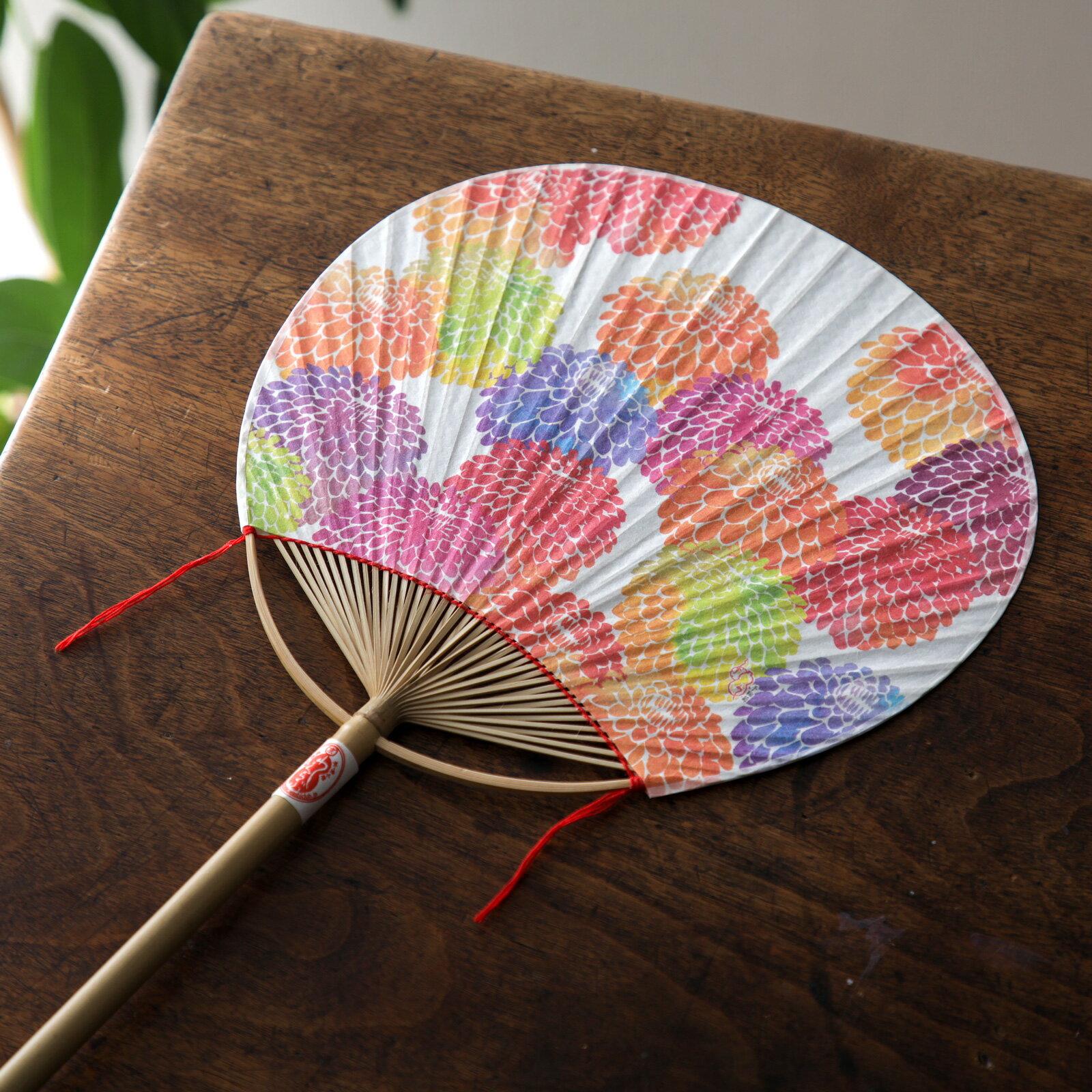 うちわ かわいい おしゃれ プレゼント プチギフト 手鞠菊 和詩倶楽部 丸亀うちわ 小丸うちわ 花 夏祭り 浴衣 団扇 京都 香川 和紙 伝統 水彩 工芸 日本製 made in japan 伝統工芸 工芸品 民芸 手仕事 和装 小物 京都 ぎんやんま