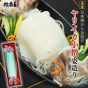 【父の日・ギフトにおすすめ!】日本海直送!ヤリイカの姿造り(4)
