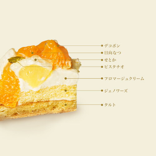 バレンタイン 千疋屋 ケーキ パティスリー銀座千疋屋 ギフト Gift 贈り物 送料無料 銀座タルト（オレンジマンゴー）格安通販　バレンタイン　人気　ランキング
