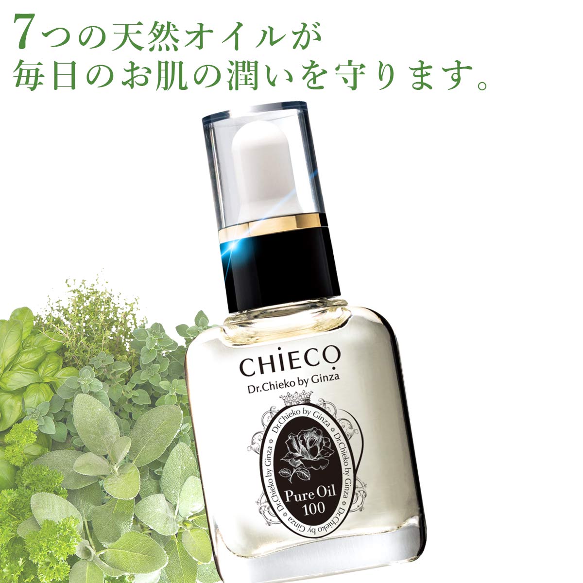 CHIECO ԥ奢100 ƥ ݼ 󥱥 ƳƱ  ȱ   ŷ ֡ ʪͳ ...