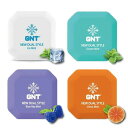 【最大2000円OFFクーポン16日(金)01:59迄】GNT 電子清涼ミスト アイスミント オーシャンミント ブルーラズミント シトラスミント