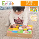 【5月1日ワンダフルデー最大1000円OFFクーポン】vEdute（エデュテ） LA-008 EduteB&K SOUND ブロックス LARGE 木製玩具