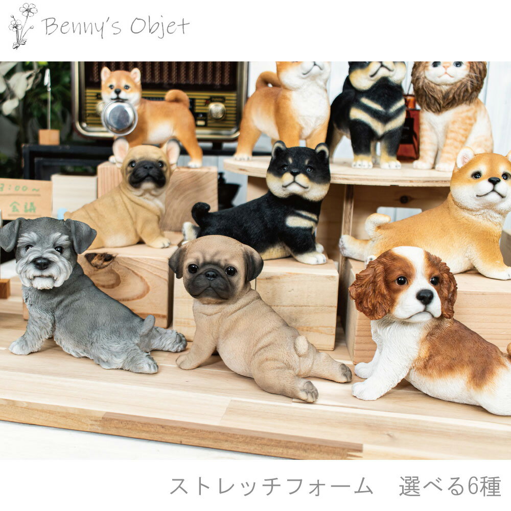 楽天市場】シュナウザー 置物(インテリア・寝具・収納)の通販 楽天市場】シュナウザー 置物(インテリア・寝具・収納)の通販