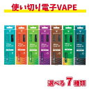 【最大2000円OFFクーポン 4/24 20:00～4/27 9:59迄】SMOOTH VIP TRYME PLUS - PT スムースビップ トライミー プラス プラチナム 電子タバコ 使いきり 電子VAPE