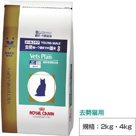 ロイヤルカナン　ベッツプラン 猫用　メールケア 2kg