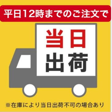 初期消火に最適! キッチン消火スプレーもしもの時に素早くスプレーするだけ! 火消しスプレー(エアゾール式簡易消化器)お得な4本セット