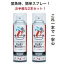 初期消火 キッチン消火スプレー 2本 セット 現行最新2025.3月製造品 簡易型 小型 火消しスプレー エアゾール式 簡易消火器 厨房 家庭用 火消し ファイヤー 消化 器 消火具 飲食店 油 火災 焚き火 ミニ 消火器 コンパクト バーベキュー アウトドア エアゾール式簡易