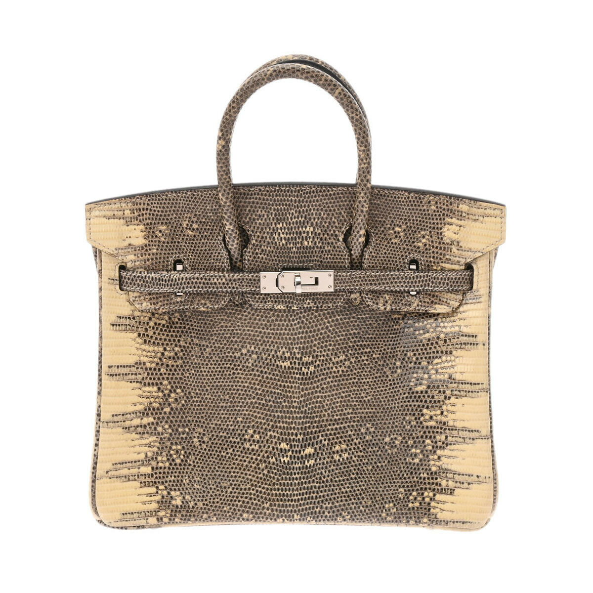 HERMES エルメス バーキン25 オンブレ シルバー金具 □L刻印(2008年頃) レディース リザードナチュラ ハンドバッグ ABランク 中古 銀蔵のサムネイル