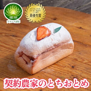 【テレビで紹介されました!】【那須ブランド認定 契約農家のとちおとめ 3個入り!】パン いちご 苺 とちおとめ 朝食 昼食 夜食 間食 ブランチ おつまみ 手作り 栃木 とちぎ 那須高原 パン香房 ベル・フルール ベルフルール ベル フルール パン ジョイアミーア