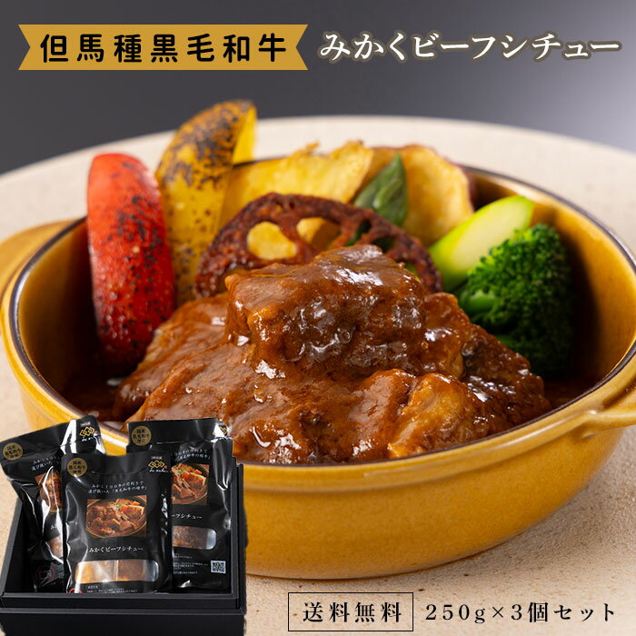 祇園みかく みかくビーフシチュー 3個入 冷凍 惣菜 和牛 国産 贈答 お取り寄せ グルメギフト 肉汁溢れる