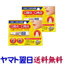【第3類医薬品】フィクテアLip 10g ×2個セット ジャパンメディック