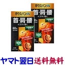 ガウスバンIN 60粒 X 2個セット 片面集中タイプ 100ミリステラ 磁気治療器