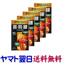 ガウスバンIN 60粒 X 5個セット 片面集中タイプ 100ミリステラ 磁気治療器