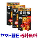 ガウスバンMAX 24粒入 X 3個セット 磁気治療器