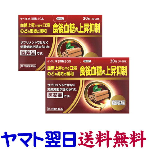 【リスク区分：第3類医薬品】市販薬　ケイヒ末［顆粒］GS（30包×2個セット）は、食後血糖の上昇を抑制、血糖上昇に伴うのどの渇きを緩和する生薬製剤です。有効成分ケイヒ末を配合した顆粒です。サプリメントではなく、効果効能が認められた医薬品です。成人（15歳以上）は、1回1包を1日3回食後に、水または白湯にて服用してください。15歳未満は服用しないでください。＜ノーエチ薬品／御所薬舗＞【30包入×2個セット】日本製／広告文責：株式会社チームワーク 075-255-4193★【使用上の注意】必ずお読みください。 ■相談すること 1．次の人は服用前に医師、薬剤師または登録販売者に相談すること。 　（1）医師の治療を受けている人 　（2）妊婦または妊娠していると思われる人 　（3）薬などによりアレルギー症状を起こしたことがある人 2．服用後、次の症状があらわれた場合は副作用の可能性があるので、直ちに服用を中止し、この製品を持って医師、薬剤師または登録販売者に相談すること。 ［関係部位：症状］ 　皮膚：発疹・発赤、かゆみ 3．1ヶ月位服用しても症状がよくならない場合は服用を中止し、この製品を持って医師、薬剤師または登録販売者に相談すること。 【効能・効果】 口渇、のどの渇き、糖尿病 【内容量】 30包×2個セット 【用法・用量】 次の量を1日3回食後に、水または白湯にて服用してください。 ＜用法・用量に関する注意＞ 用法・用量を厳守してください。 成人（15才以上）→1回量：1包、1日服用回数：3回 15才未満→服用しないこと 【成分及び分量】 3包中（1日量）：ケイヒ末…3.0g [添加物] 乳糖水和物、D-マンニトール、ヒドロキシプロピルセルロース、軽質無水ケイ酸を含む。 【成分に関する注意】 ●本品は吸湿性が高いので分包を開けたら、すぐに服用してください。 ●本品は天然物（生薬）を用いているため、顆粒の色が多少異なることがあります。 【お問い合わせ先】 発売元：御所薬舗株式会社 電話：0745-62-3388（9:00?17:00）、月～金（土日祝日を除く） 販売店：くすりの京都祇園さくら 075-255-4193