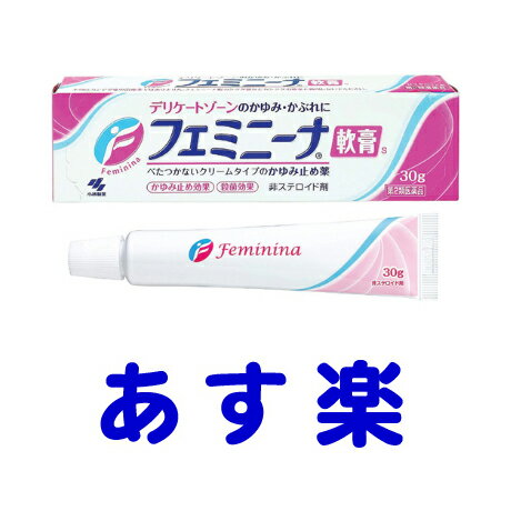 【第2類医薬品】フェミニーナ軟膏S 30g