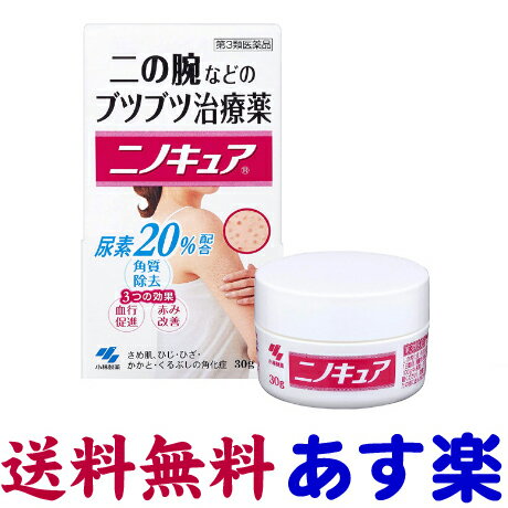 ニノキュア 30g 二の腕ブツブツ治療薬 小林製薬