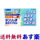 【第(2)類医薬品】ダンリッチ持続性鼻炎カプセル 20カプセ