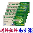 【第2類医薬品】セレキノンS 20錠 X 5個セット 市販薬 過敏性腸症候群（IBS）改善薬