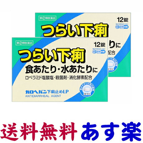 【第(2)類医薬品】ガロヘパン 下痢止め薬 12錠 X 2個セット ロペミンと同じ有効成分の市販薬