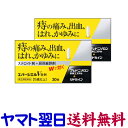 【指定第2類医薬品】エバージエルV坐剤 30個入 ×2個セット