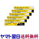 【指定第2類医薬品】エバージエルV軟膏 25g ×5個セット