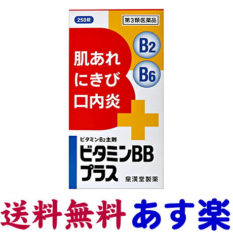 3ʡۥӥߥBBץ饹 250