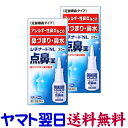 【第2類医薬品】レチナートNL点鼻薬 30mL ×2個セット 花粉症などのアレルギー性鼻炎に