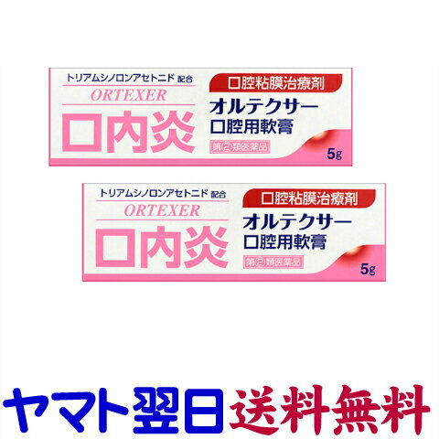 【第(2)類医薬品】オルテクサー口腔用軟膏 5g X 2個セット ケナログAと同じ有効成分の口内炎薬