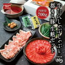 牛たんしゃぶしゃぶと都もち豚 生麩セット 700g 牛たん しゃぶしゃぶ 都もち豚 生麩 オリジナル 出汁 冷凍