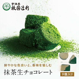 抹茶生チョコレート9個入 (ふりかけ用抹茶付) お菓子 お茶 抹茶 高級 出産 贈り物 内祝い お返し お祝 スイーツ お取り寄せ おしゃれ 和風 職場 和菓子 ギフト お供え 粗供養 香典返し 御供 祇園辻利