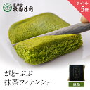 【期間限定P5倍】 がとーぶぶ フィナンシェ 抹茶 1個入り 抹茶 スイーツ お茶 宇治茶 お菓子 焼き菓子 洋菓子 和スイーツ 京都 宇治抹茶 バレンタイン ホワイトデー お返し 高級 和風 プレゼント ギフト 贈り物 お取り寄せ 祇園辻利