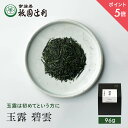 宇治茶 【期間限定P5倍】 京都 宇治茶 玉露 碧雲 96g 玉露 お茶 高級 日本茶 専門店 お取り寄せ 京都 老舗お茶屋 グリーンティー グリーンティ 茶 内祝い 彼岸 ギフト お供え 粗供養 香典返し 御供 残暑見舞 帰省みやげ 帰省土産 京都土産 祇園辻利