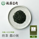 京都 宇治茶 煎茶 都の巽 96g 煎茶 お茶 高級 日本茶 専門店 お取り寄せ 京都 老舗お茶屋 グリーンティー グリーンティ 茶 内祝い 彼岸 ギフト お供え 粗供養 香典返し 御供 残暑見舞 帰省みやげ 帰省土産 京都土産 祇園辻利