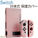 nwe Nintendo switch یJo[  Switch P[X یP[X M Jo[ XCb`P[X pJo[ XeBbNJo[ یP[X Joy-ConJo[ ̎ SʕیP[X ϋv PCf CVjeh[XCb`Ή switch EȒP C菝h~ ϏՌ ^