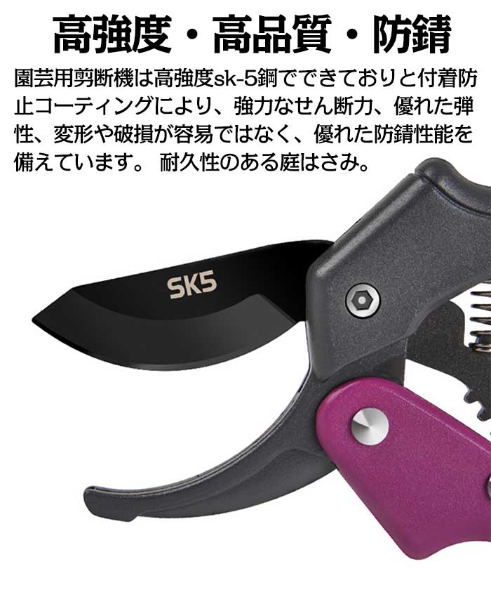 【 2枚セット】剪定ばさみ 剪定鋏 ハサミ はさみ 植木ばさみ 園芸 果樹 切れ味抜群 SK-5鋼製 剪定鋏 枝きり 剪定 枝切り 剪定バサミ 安全ロック付き 滑り止め 盆栽 花 切削工具 ガーデン DIY 園芸ハサミ 工具 はさみ 剪定はさみ ガーデニング用品 ハサミ 庭 盆栽 雑貨(4)