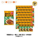 5年保存 非常食 江崎グリコ 常備用カレー職人 カレー 甘口 1袋/170g×3食入 40袋セット